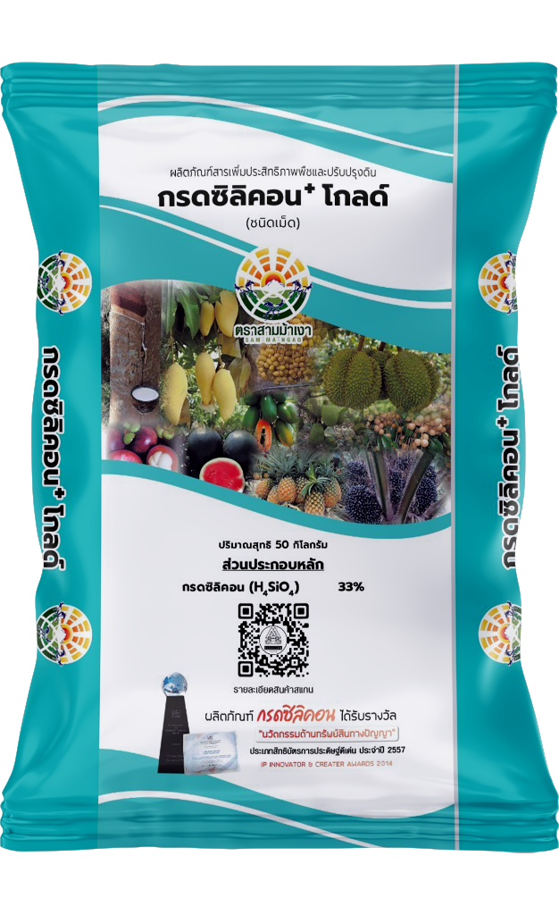 กรดซิลิคอนโกลด์ (เม็ด)